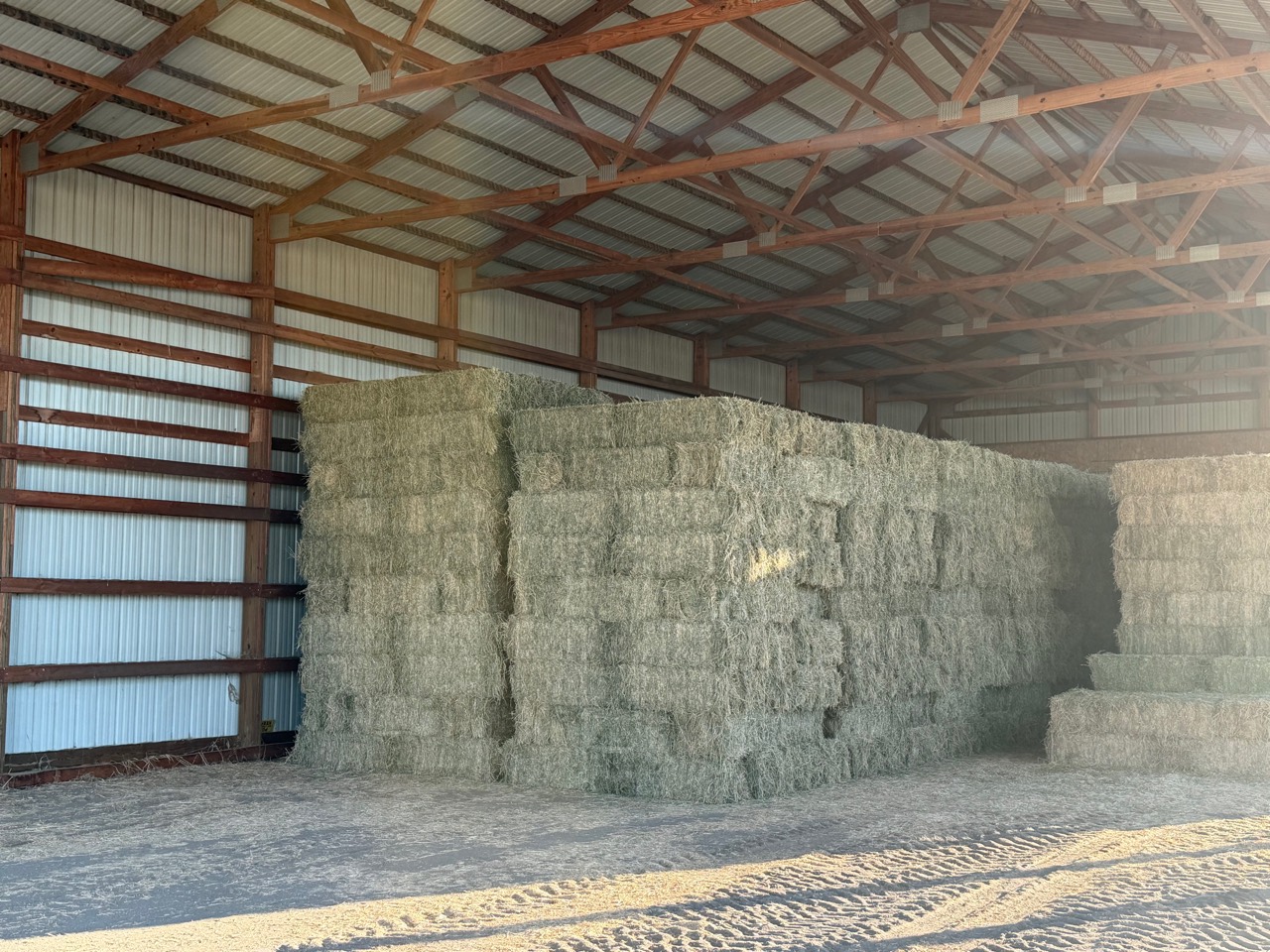 Large stacks of alfalfa hay stored under the Royer Ranch hay barn roof