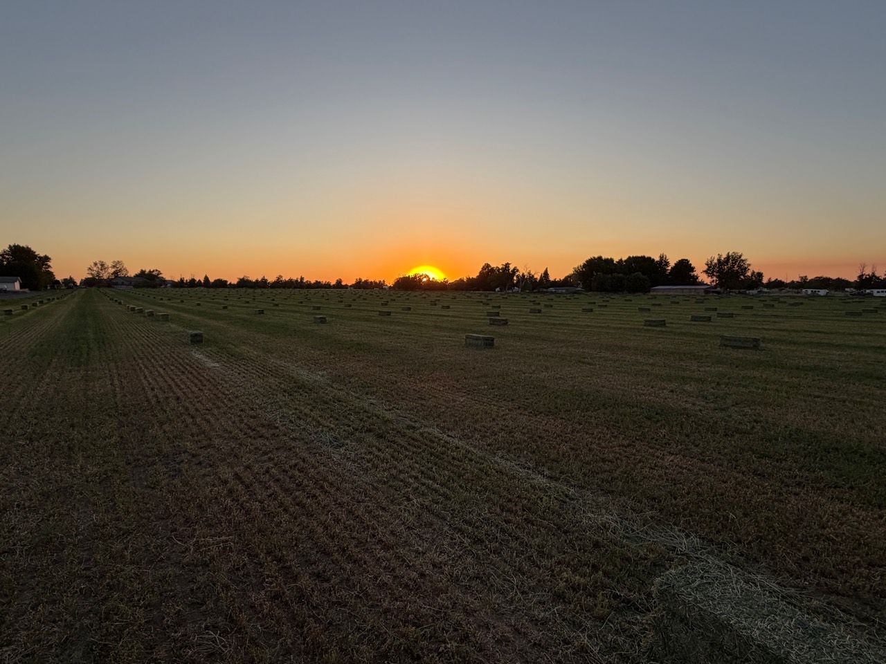 Royer Ranch hay field at sunset near Hermiston, Oregon